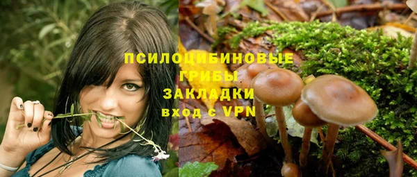 mix Абаза