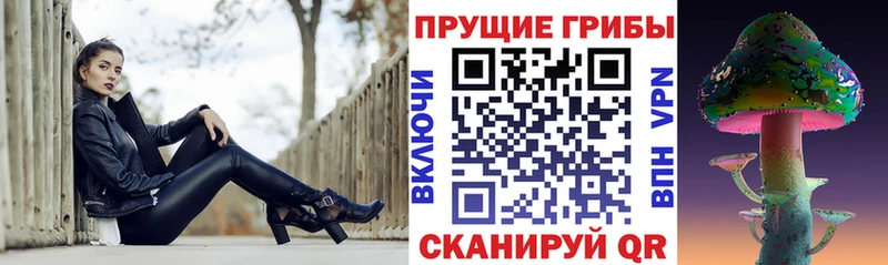 Псилоцибиновые грибы Cubensis Людиново